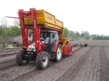 van den Berg 1